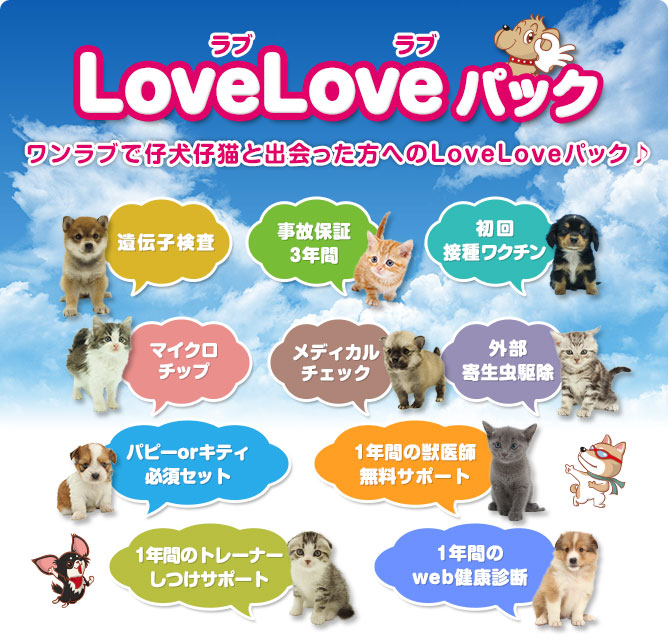 LoveLove パック ワンラブで仔犬仔猫と出会った方へのLoveLoveパック♪ ※ワクチン代も含んでおります