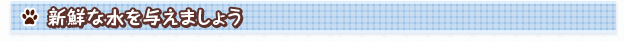 新鮮な水を与えましょう