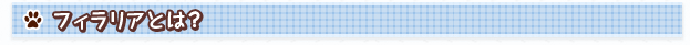フィラリアとは？