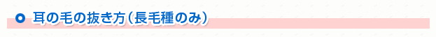 耳の毛の抜き方（長毛種のみ）