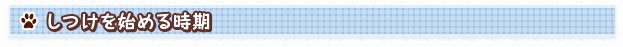 しつけを始める時間