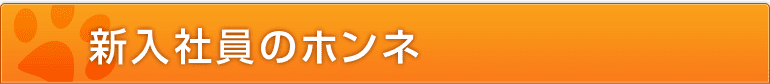 新入社員のホンネ