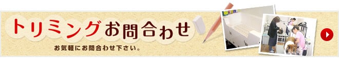 トリミングお問合せ　お気軽にお問合せ下さい。