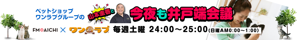 ペットショップワンラブグループの山本圭壱と今夜も井戸端会議