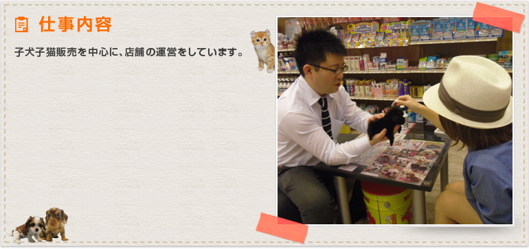 子犬子猫販売を中心に、店舗の運営をしています。