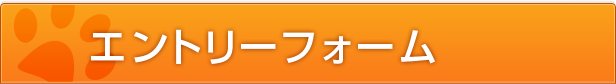 エントリーフォーム