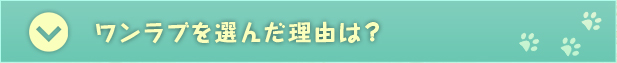 ワンラブを選んだ理由は？