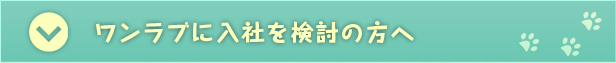 ワンラブに入社を検討の方へ