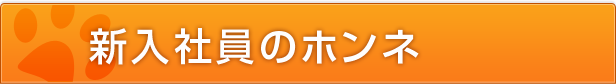 新入社員のホンネ