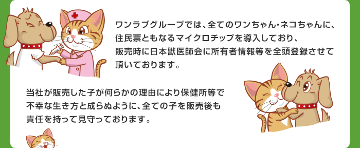 ワンラブグループでは、全てのワンちゃん・ネコちゃんに、住民票ともなるマイクロチップを導入しており、販売時に日本獣医師会に所有者情報等を全頭登録させて頂いております。当社が販売した子が何らかの理由により保健所等で不幸な生き方と成らぬように、全ての子を販売後も責任を持って見守っております。