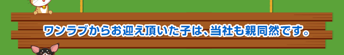 ワンラブからお迎え頂いた子は、当社も親同然です。