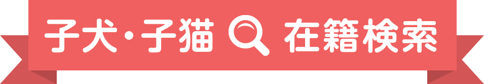 在籍検索