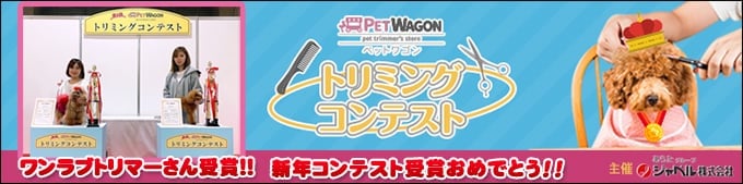 新年トリミングコンテスト受賞おめでとうございます！