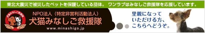 みなしご救助隊