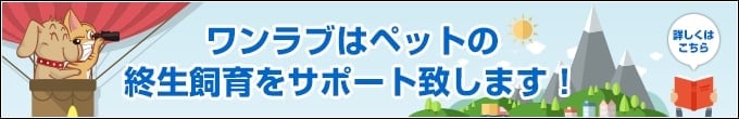 ワンラブは終生飼育をサポート致します