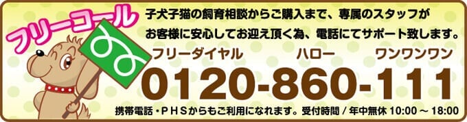 お客様相談窓口　0120-860-111