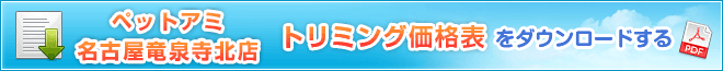 PDFダウンロード