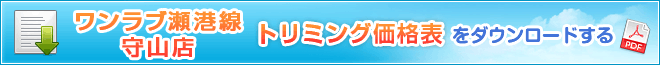 PDFダウンロード