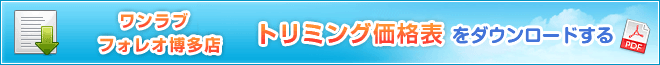 PDFダウンロード