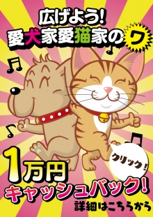 ワンラブにて子犬子猫をお迎え頂ける方をご紹介頂きますと大変お得です