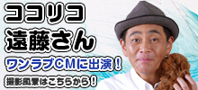 ココリコ遠藤さんがワンラブCMに出演してくださいました！