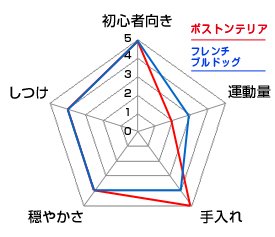 チャート