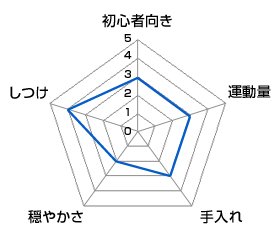 チャート