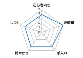 チャート