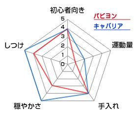 チャート