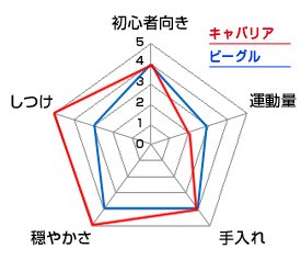 チャート