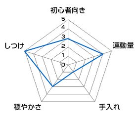 チャート