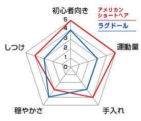 チャート