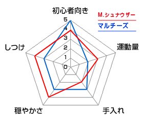 チャート