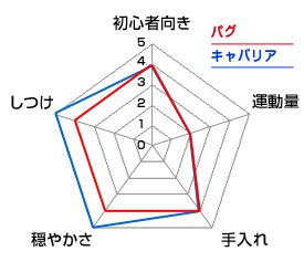 チャート