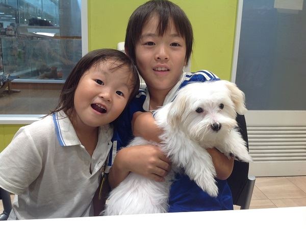 写真