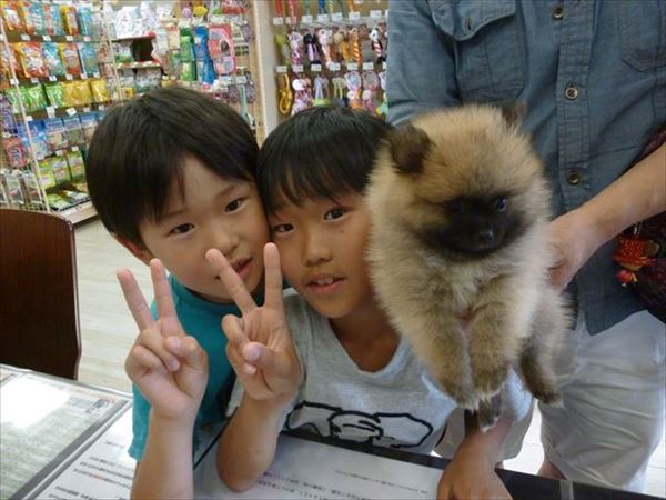 写真