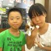 写真