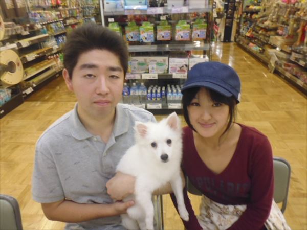 写真