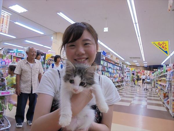 写真