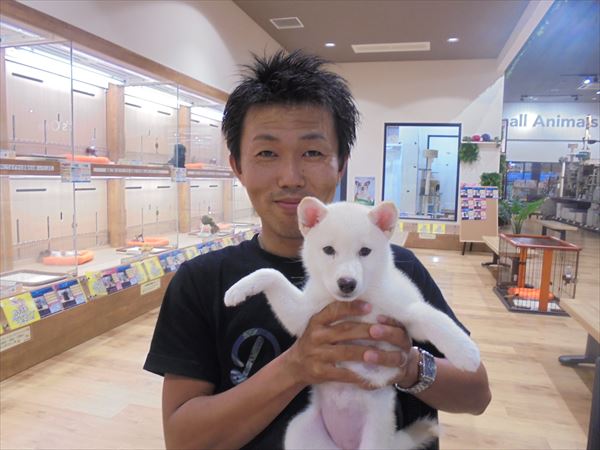 写真