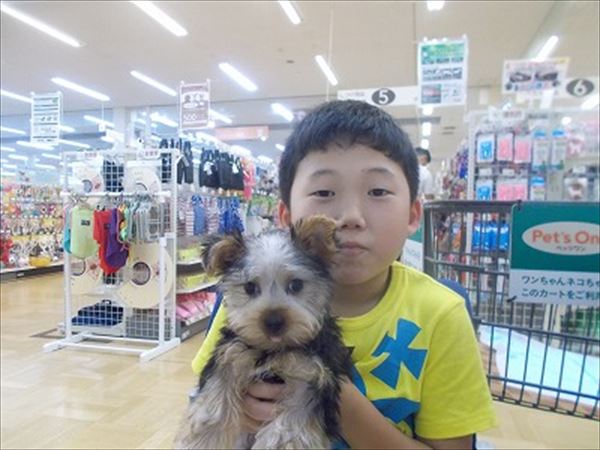 写真