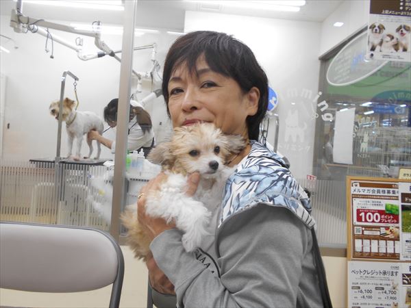 写真