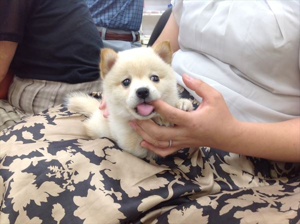 写真
