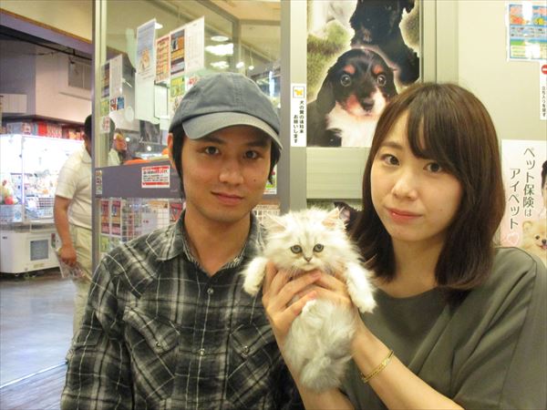 写真