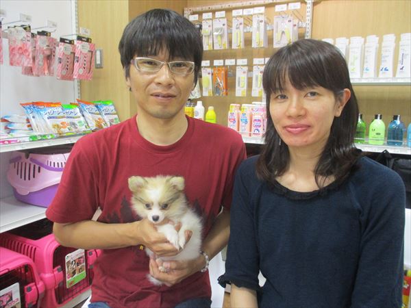 写真