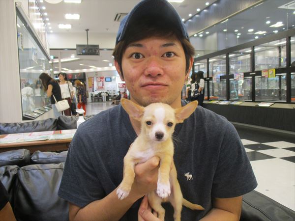 写真