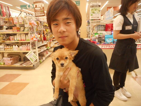 写真