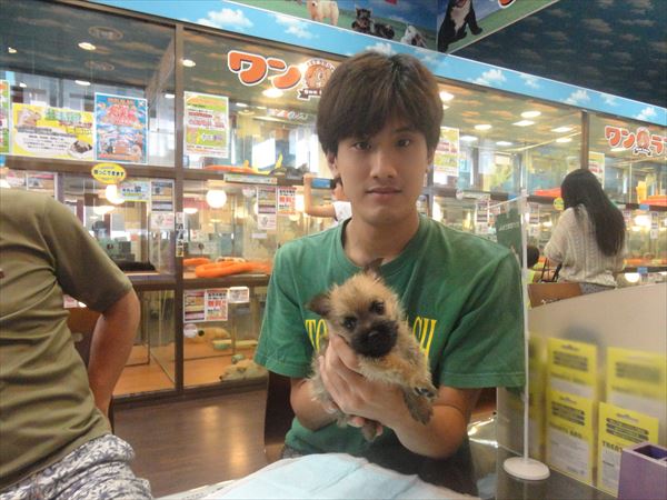 写真