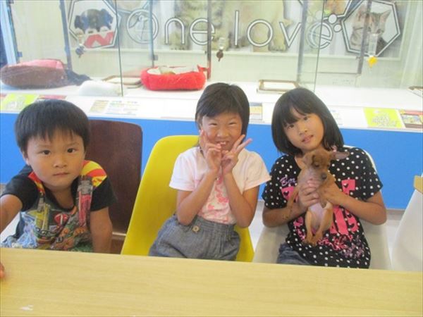 写真