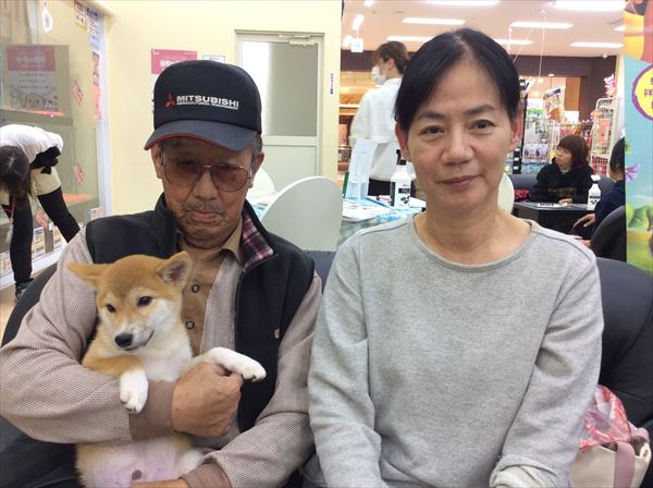 写真
